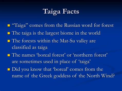 mega taiga biome|10 facts about taiga.